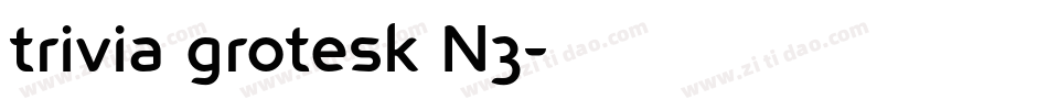 trivia grotesk N3字体转换